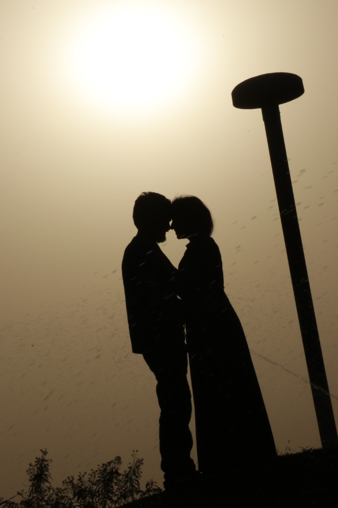 Golden Mist Silhouette